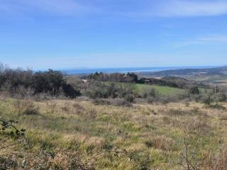 Terreno agricolo in vendita a castellina marittima via per chianni