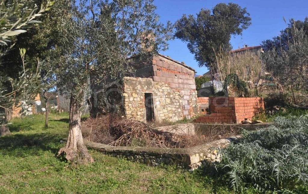 immagine annuncio 4 di 11
