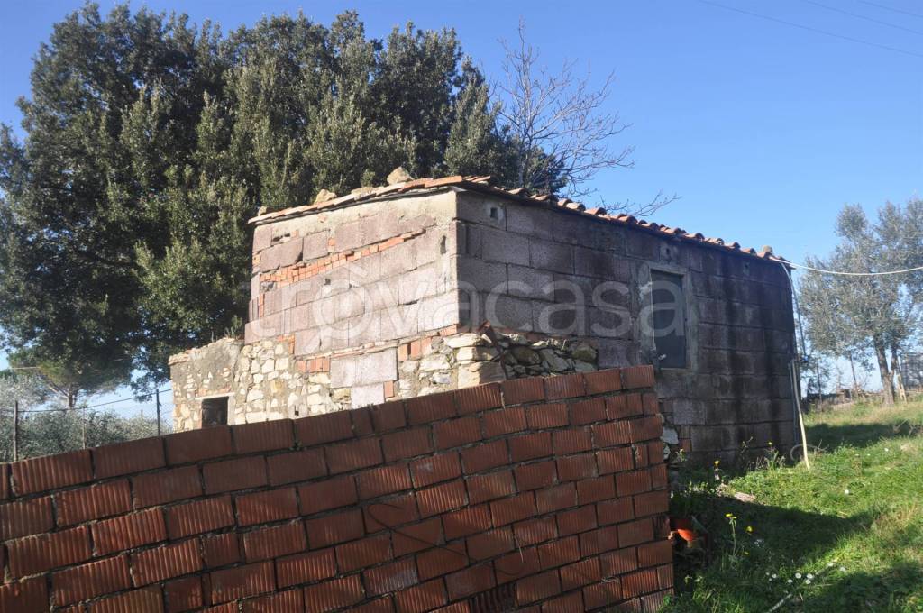 immagine annuncio 5 di 11