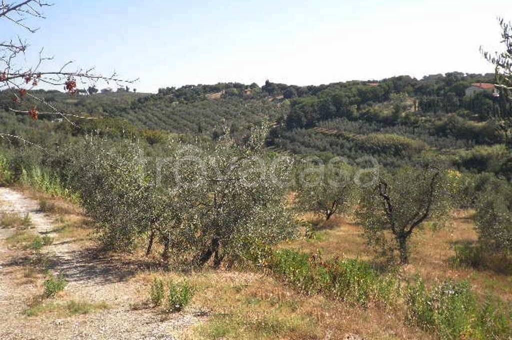immagine annuncio 8 di 9