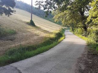 Terreno agricolo in vendita a valsamoggia invernata