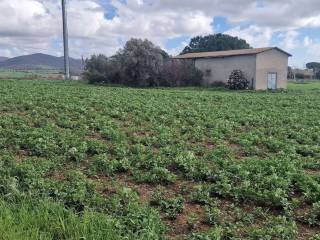 Azienda agricola in vendita a tarquinia località pian boaro, snc