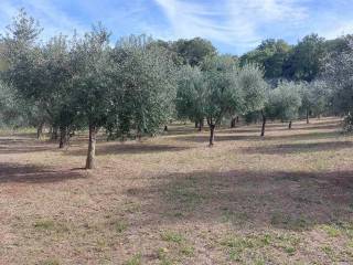 Terreno agricolo in vendita a lanciano contrada torre sansone, snc