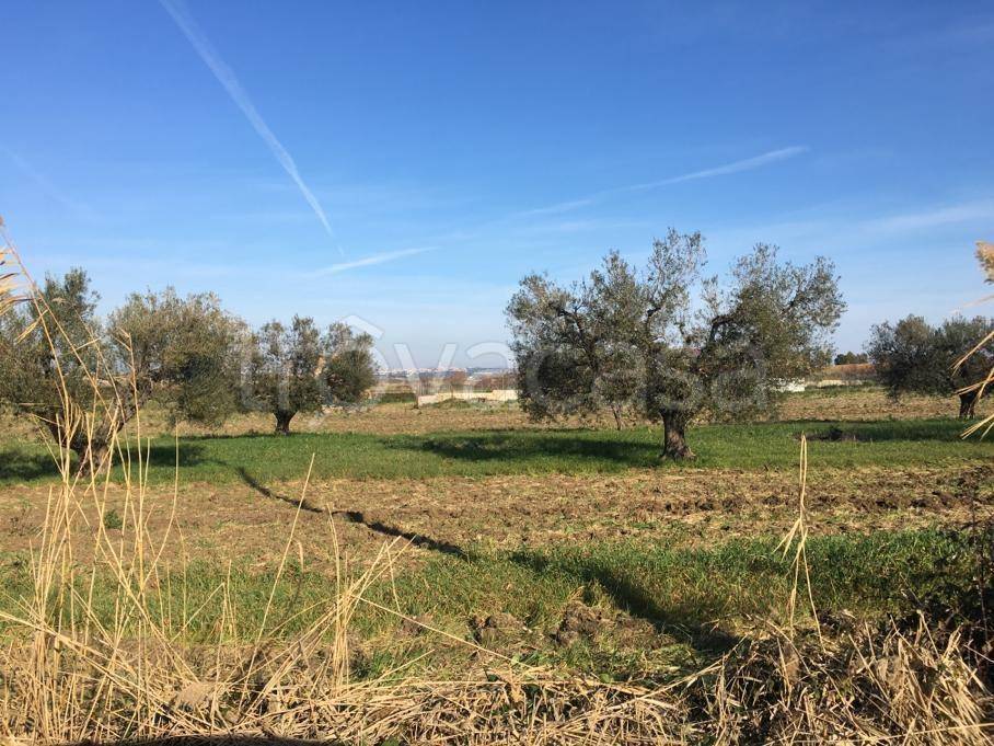 immagine annuncio 6 di 9