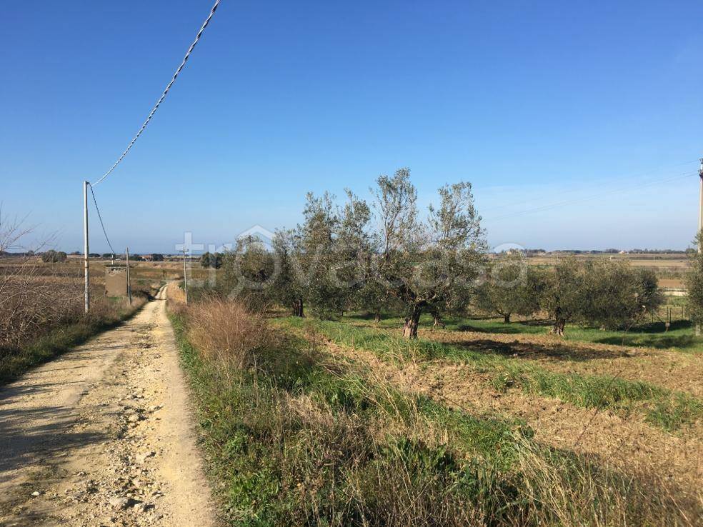 immagine annuncio 7 di 9