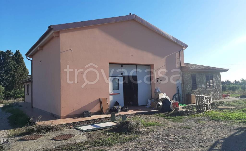 immagine annuncio 8 di 14