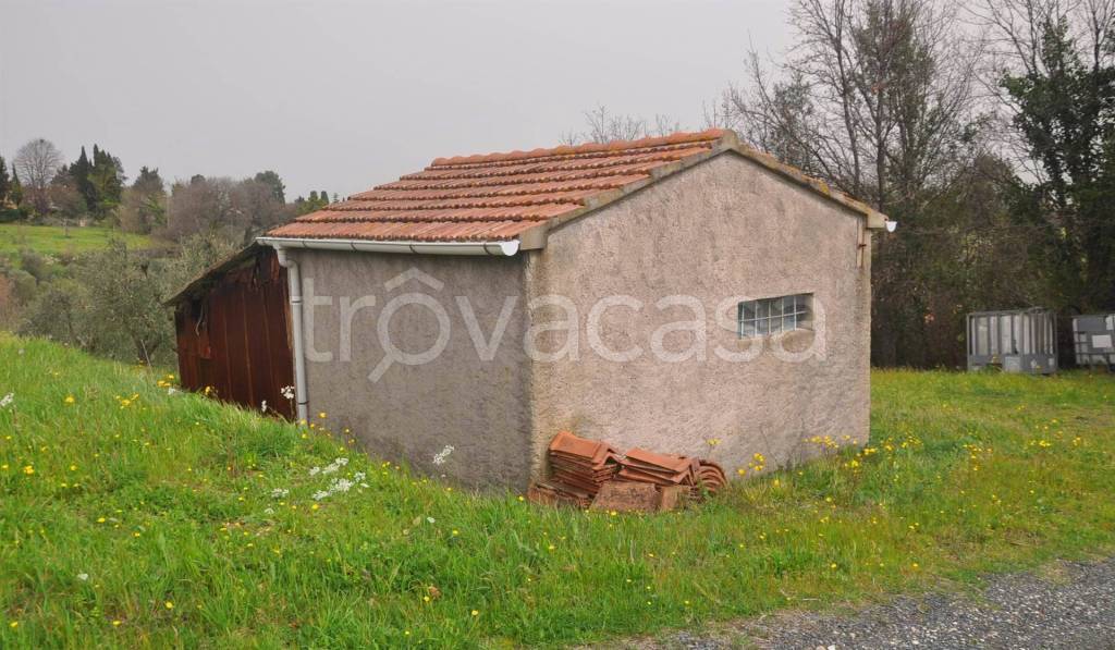 immagine annuncio 3 di 12