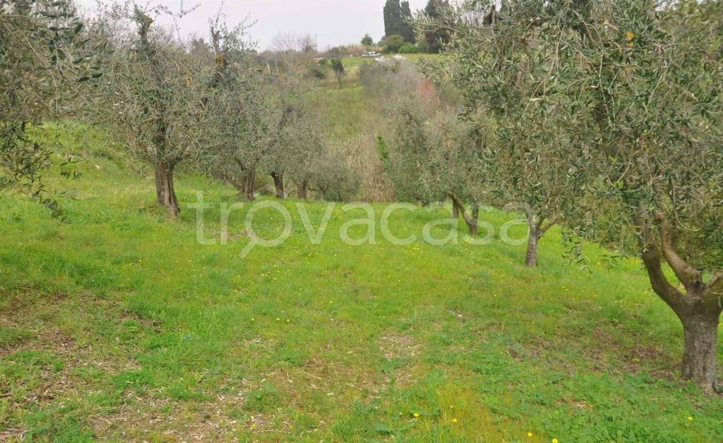 immagine annuncio 9 di 12