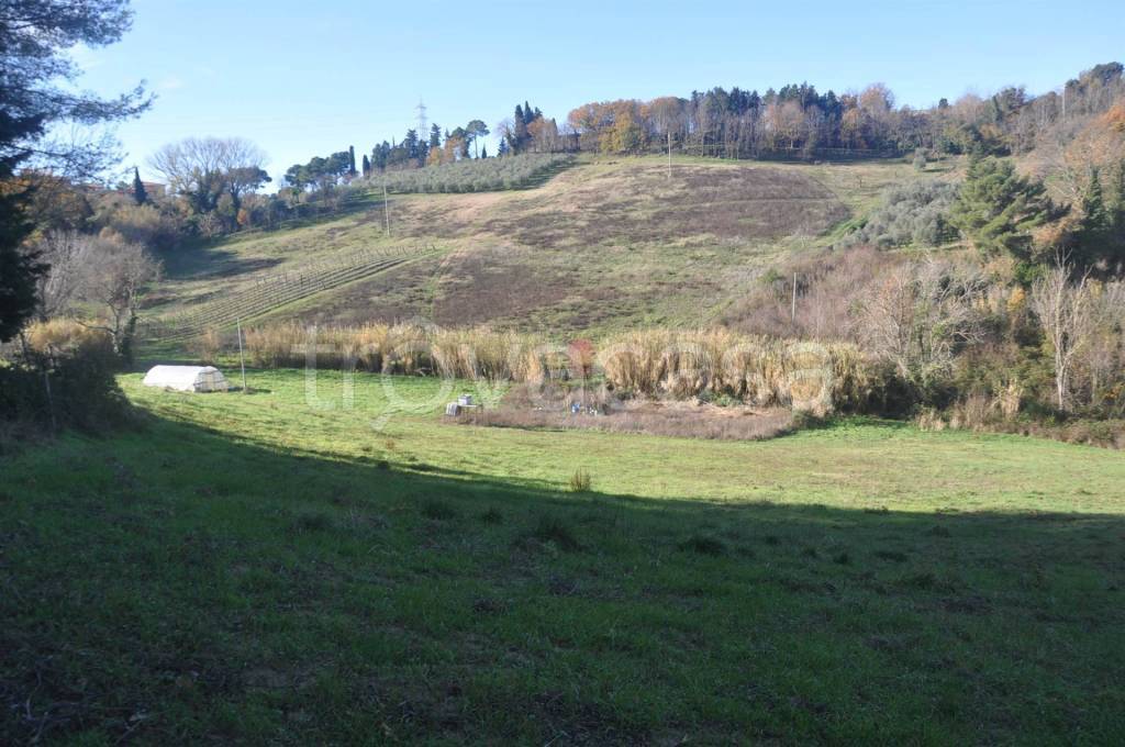 immagine annuncio 8 di 14