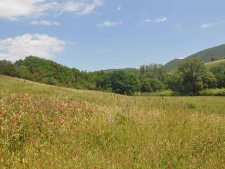 Terreno agricolo in vendita a santa luce via poggiberna