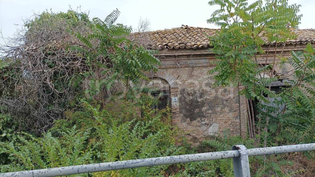 immagine annuncio 7 di 12