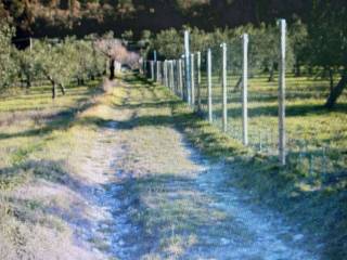 Terreno agricolo in vendita a calenzano 