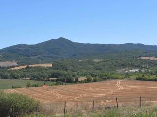 Terreno agricolo in vendita a bibbona strada vicinale di faltona