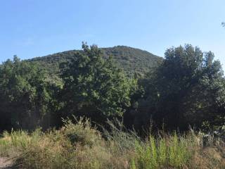 Terreno agricolo in vendita a rosignano marittimo strada provinciale del vaiolo