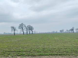 Terreno agricolo in vendita a massalengo 