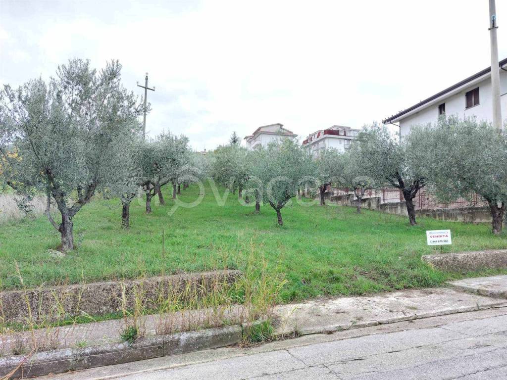 immagine annuncio 5 di 8