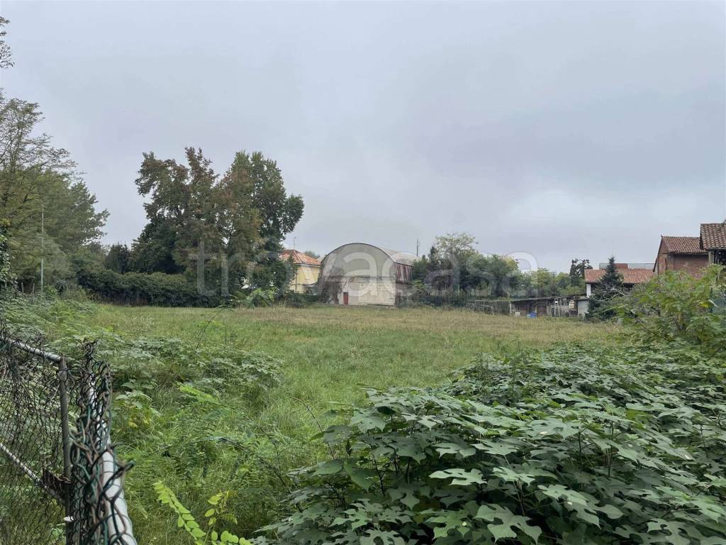 immagine annuncio 5 di 14