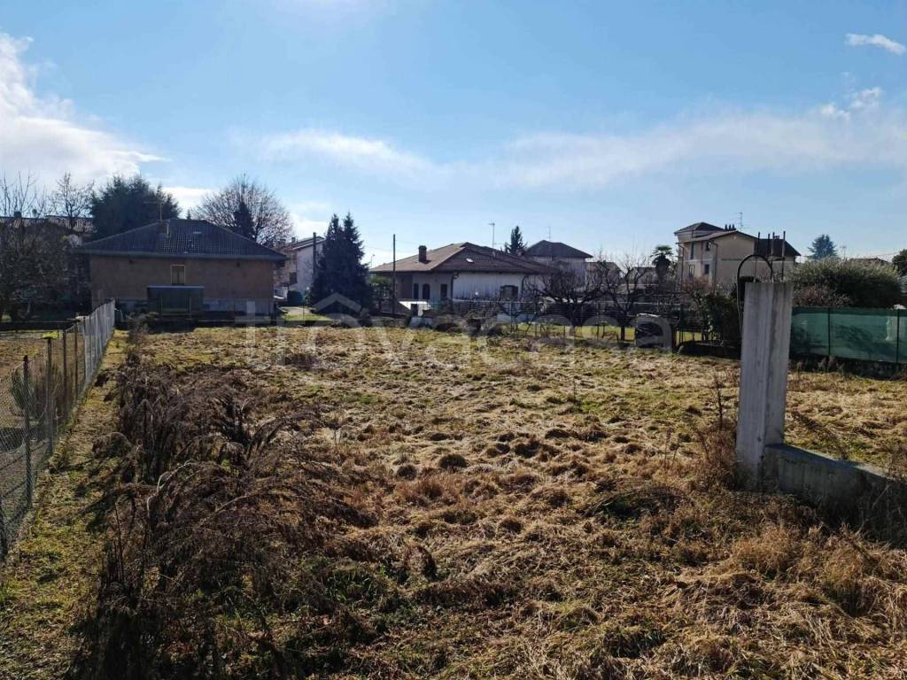 immagine annuncio 2 di 4