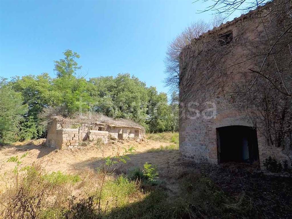 immagine annuncio 12 di 14