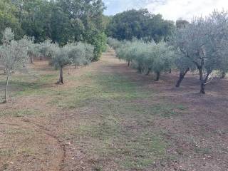 Terreno agricolo in vendita a lanciano contrada torre sansone, snc