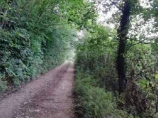 Terreno agricolo in vendita a salcedo via altura