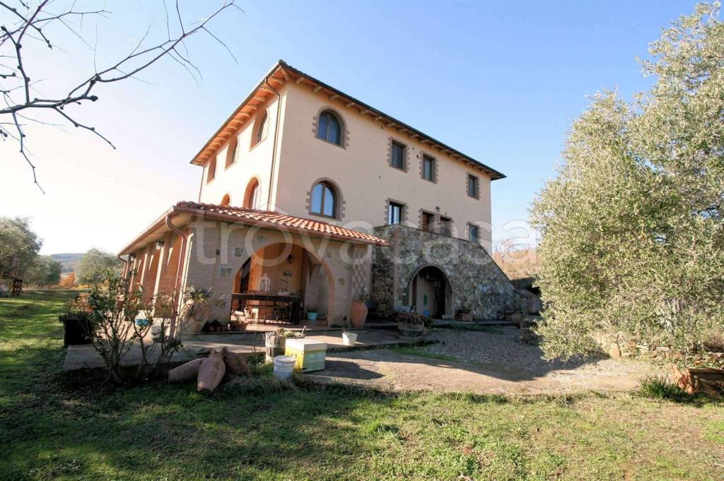 immagine annuncio 4 di 14