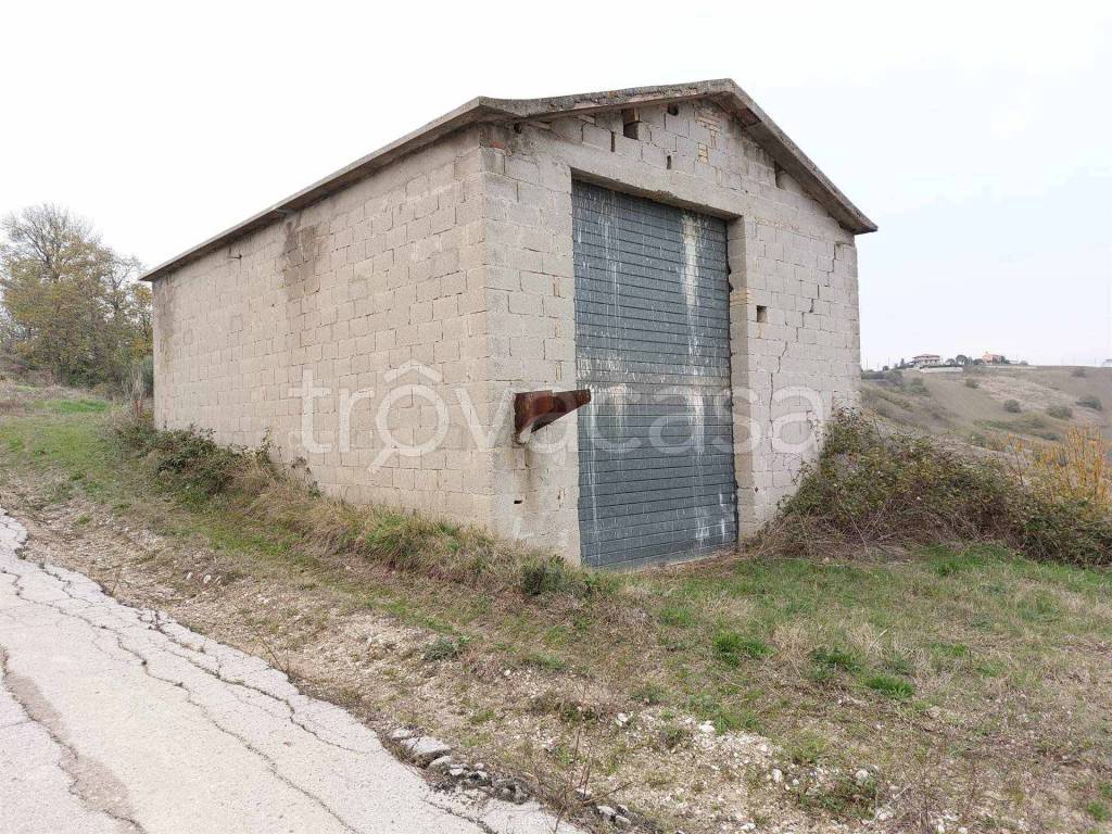 immagine annuncio 2 di 11
