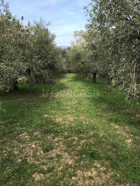 immagine annuncio 1 di 8