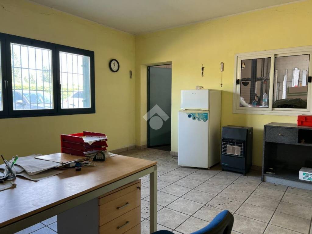 immagine annuncio 10 di 15