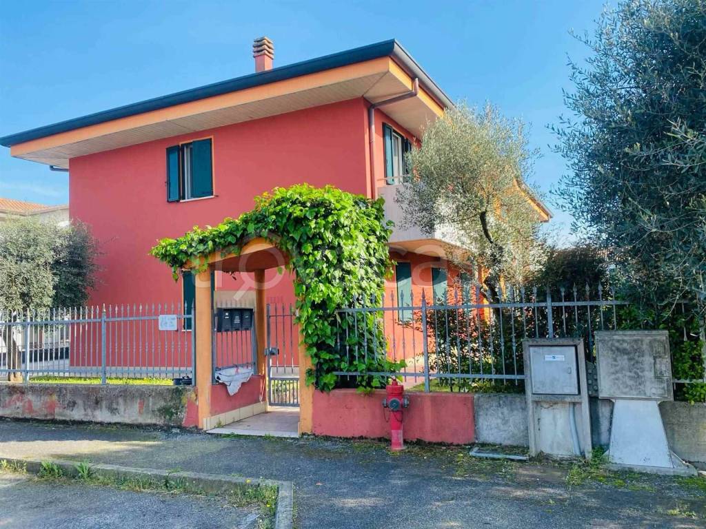 immagine annuncio 3 di 15