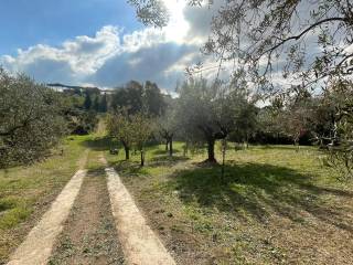 Terreno agricolo in vendita ad albano laziale via delle grotte