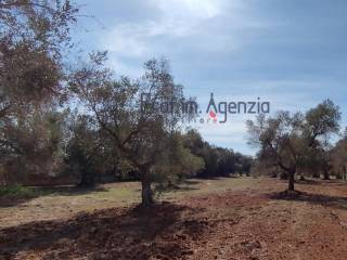 Terreno residenziale in vendita a san vito dei normanni 