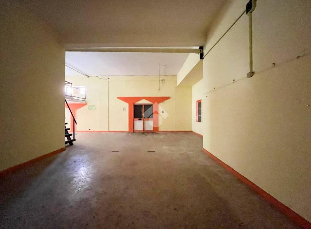 immagine annuncio 4 di 14