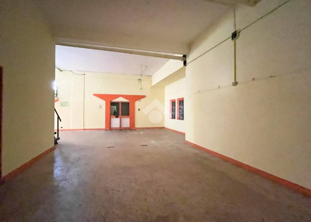 immagine annuncio 9 di 14