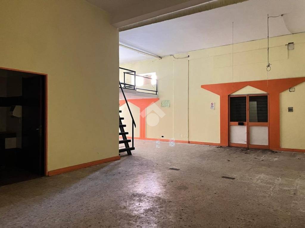 immagine annuncio 10 di 14