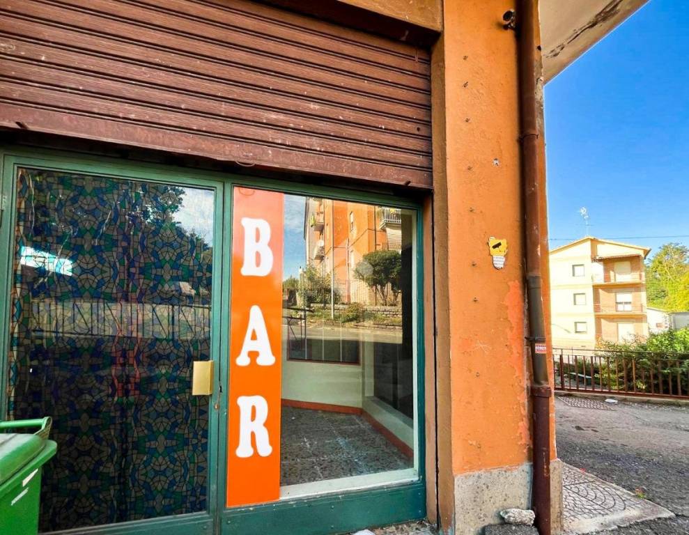 immagine annuncio 12 di 14