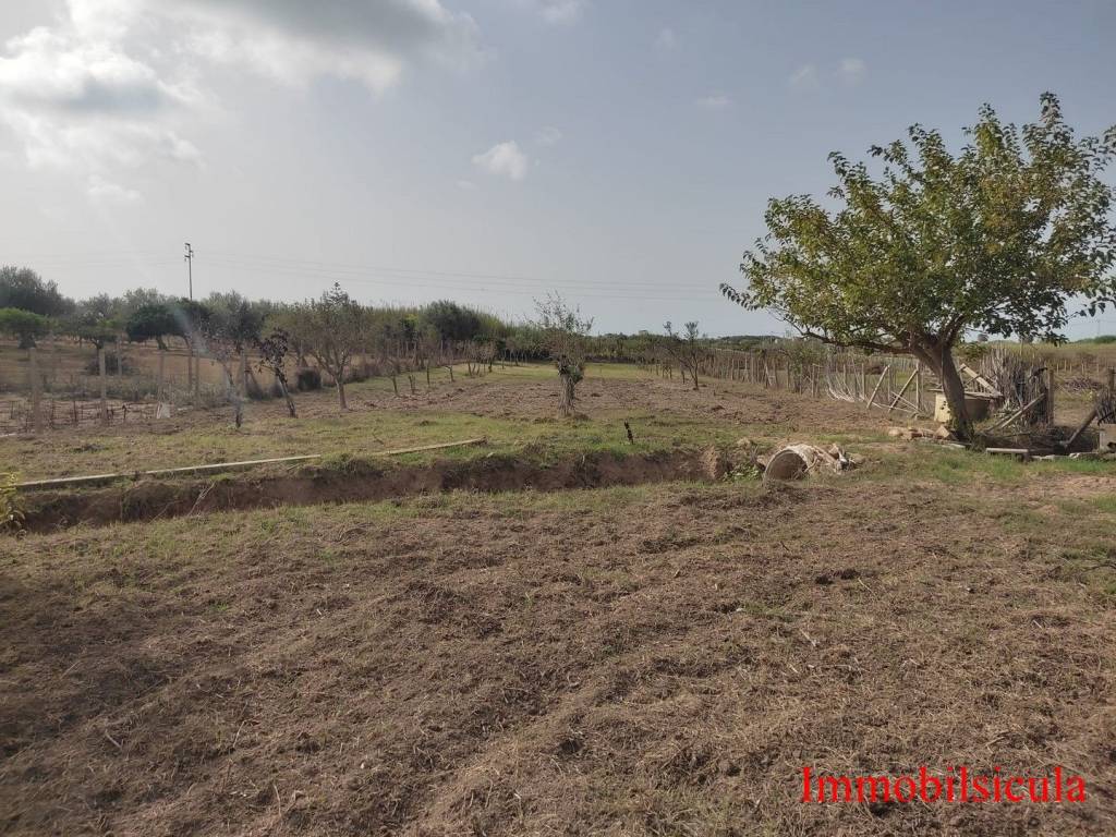 immagine annuncio 6 di 12