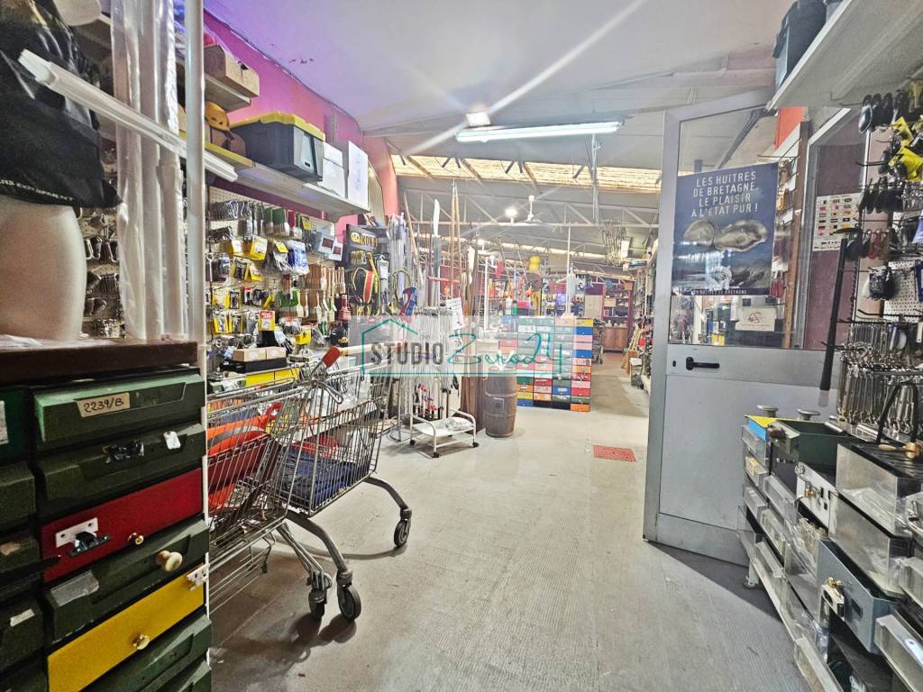 immagine annuncio 5 di 9