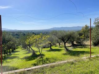 Terreno agricolo in vendita a poli via del torrione