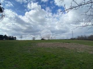 Terreno agricolo in vendita a roma 