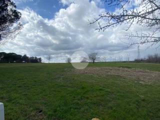 Terreno agricolo in affitto a roma 