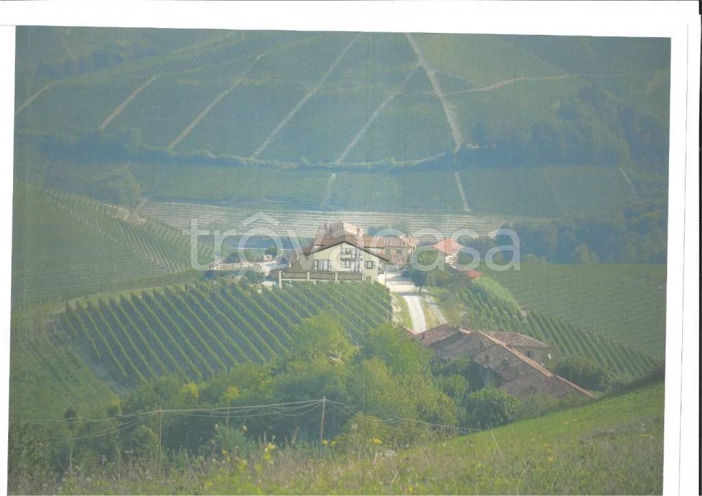 immagine annuncio 2 di 6