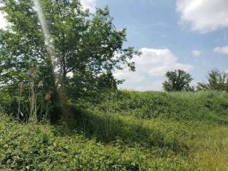 Terreno residenziale in vendita a san possidonio via moro