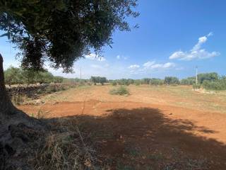 Terreno agricolo in vendita a fasano contrada occhio piccolo