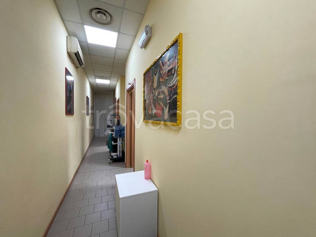 immagine annuncio 3 di 7