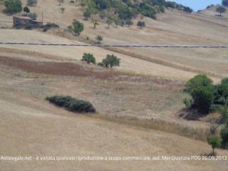 Terreno agricolo in vendita a nicosia agro di villadoro, contrada ficilino