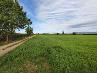 Terreno agricolo in vendita a lonato del garda via campagna sotto