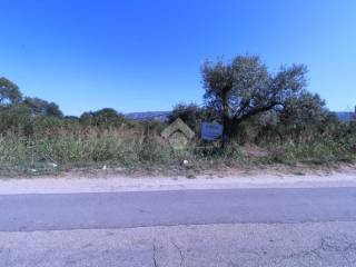 Terreno residenziale in vendita a montalto uffugo via tesori