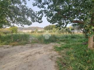 Terreno agricolo in vendita a settingiano via campo dei fiori, 8