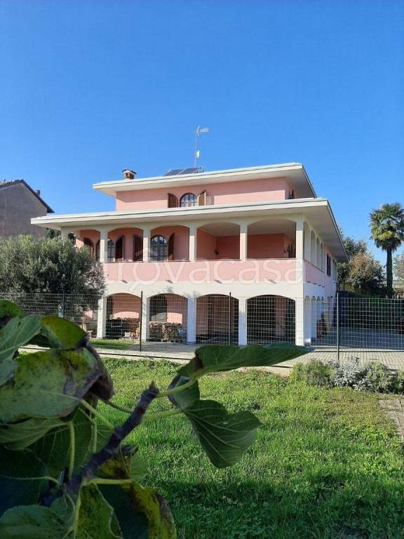 immagine annuncio 8 di 15